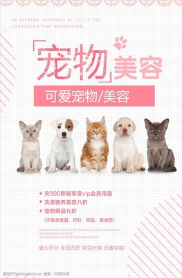 简约可爱宠物美容海报
