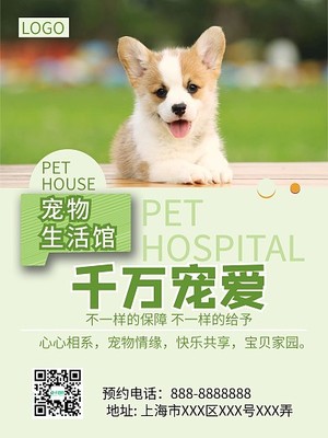 宠物服务中的问诊体系 全面呵护宠物健康