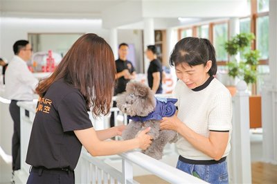 宠物友好服务 为爱宠提供全方位关怀
